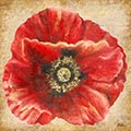 Image Not Available